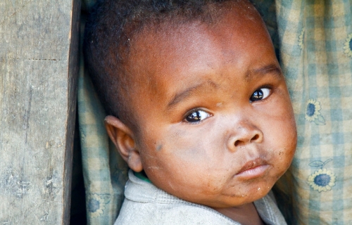 Providing free medical help and vaccination